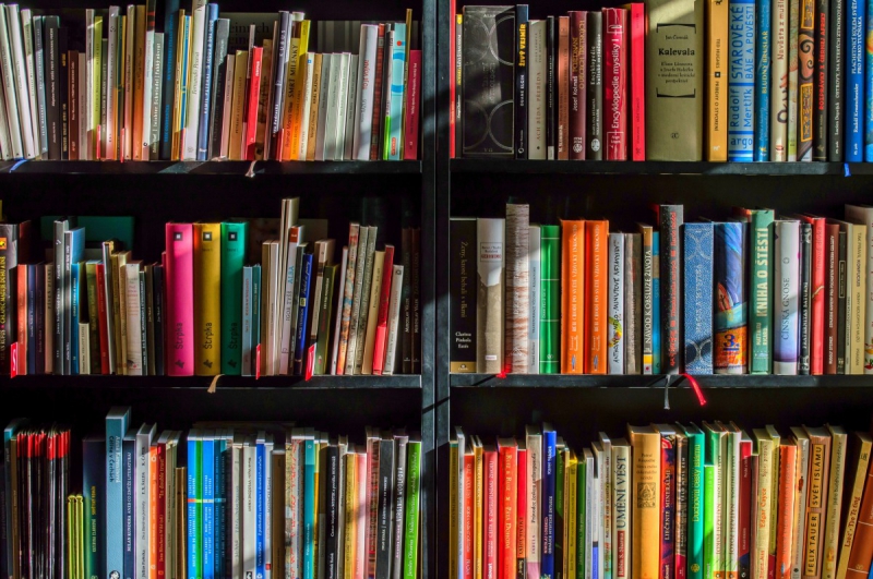boutique-CAGNES SUR MER-min_books_bookstore_book_reading_shop_writer_sale_books_read-822866